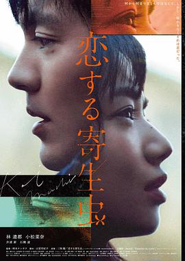 大贵族